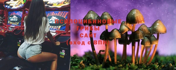 молекула духа Алзамай