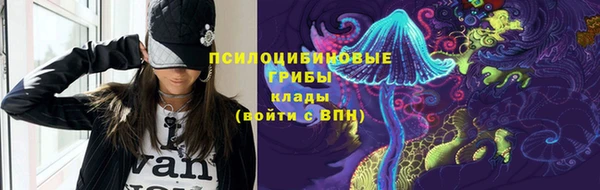 молекула духа Алзамай