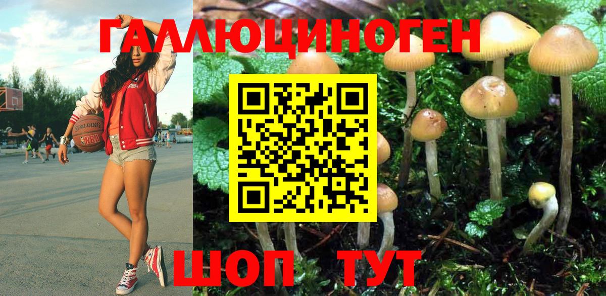 Чапаевск  Псилоцибиновые грибы Cubensis  Вход с VPN 