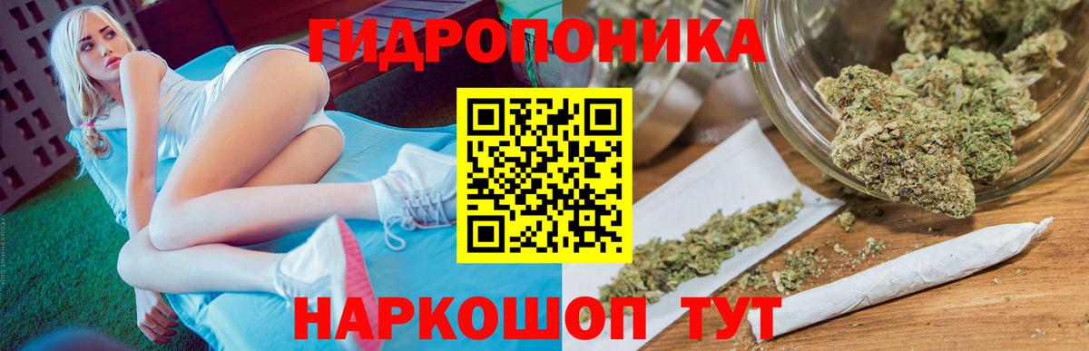 Чапаевск  Конопля сатива  Бошки Шишки Amnesia  Бошки Шишки Bruce Banner  Бошки марихуана сатива  Вход с VPN 